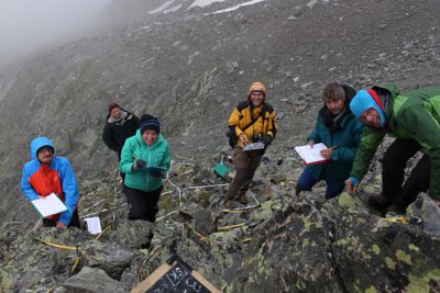Recording in permanent plots in transect 07 in 3090m during the field campaign 2014.