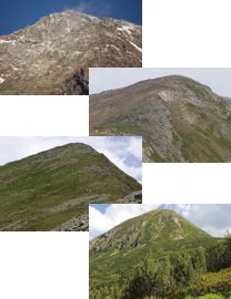 Four summits of different elevations represent a target region.