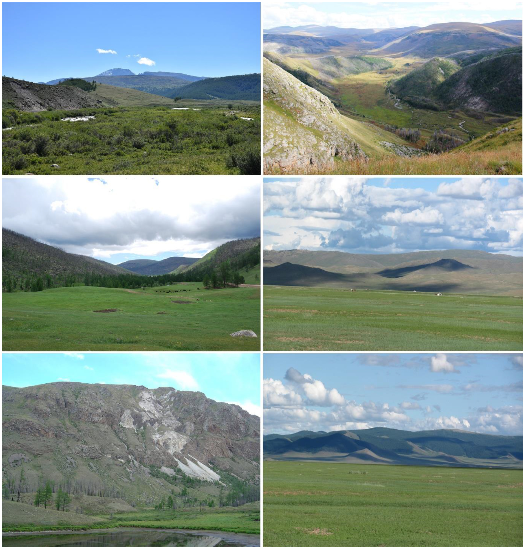 MN-KHA,
                                     General view of the Khangai Mountains                                      © @Bayartogtokh                                         