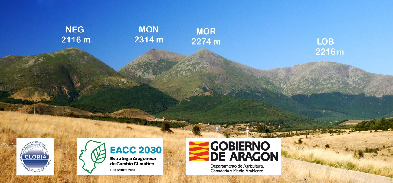 ES-MON,
                                     The 4 summits of ES-MON GLORIA TR (Moncayo - Iberian Range)                                      &copy; @Jolube (José Luis Benito Alonso)                                         