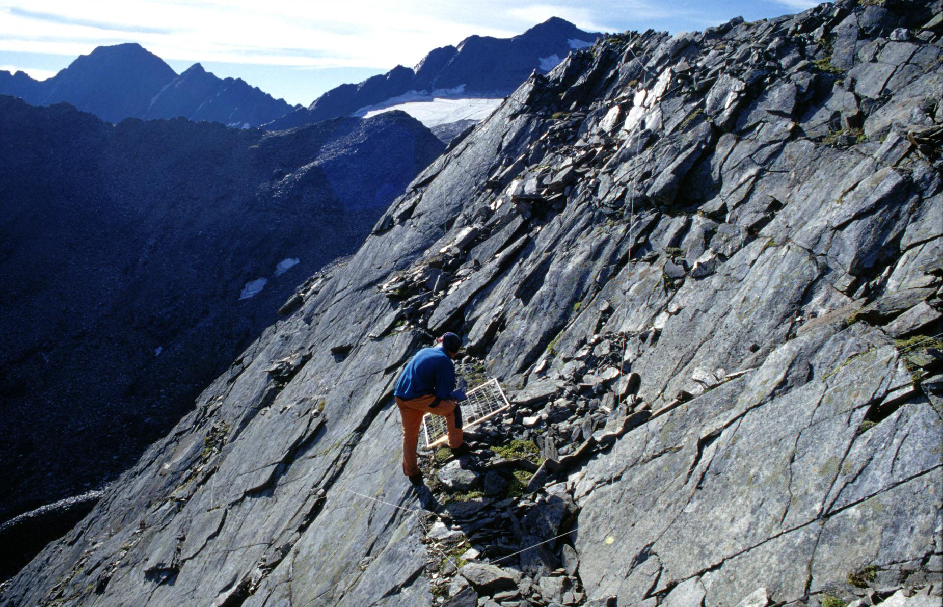 IT-TEX,
                                     DWO; frequency count in the northern slope                                                                             